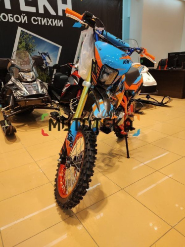 Питбайк KAYO (Кайо) EVOLUTION K125EM 17/14 KRZ (механ. сцепл., эл. стартер 2024 г.) фото 9 Питбайк KAYO (Кайо) EVOLUTION K125EM 17/14 KRZ (механ. сцепл., эл. стартер 2024 г.) фото 9