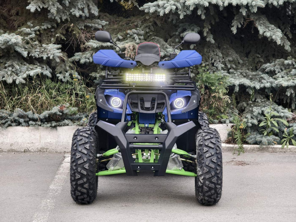 Квадроцикл R - MOTO (Р - Мото) Lion 200 LD синий (машинокомплект) | Мототека