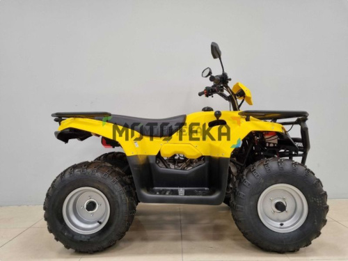 Квадроцикл IRBIS (Ирбис) ATV 200 LUX 2024 желтый с ПСМ фото 7 Квадроцикл IRBIS (Ирбис) ATV 200 LUX 2024 желтый с ПСМ фото 7
