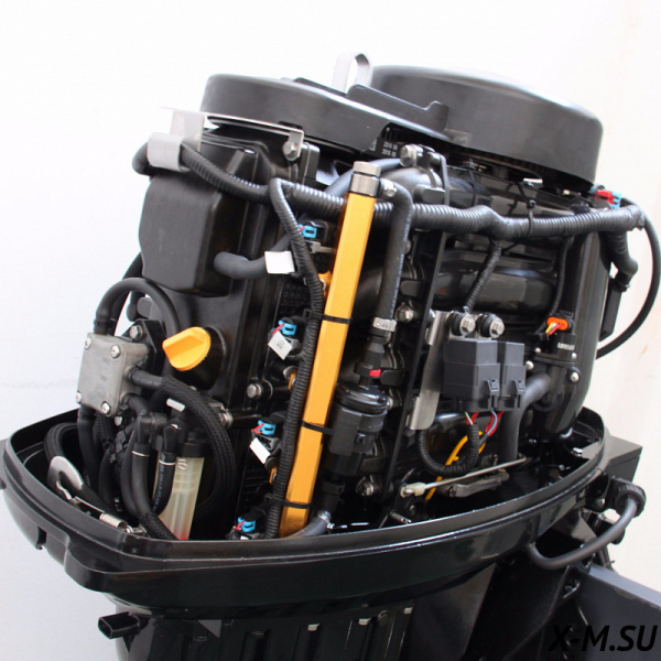 Лодочный мотор Promax (Промакс) SF50FEEL - Т EFI | Мототека