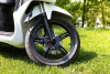 Скутер SYM (Сим) SYMPHONY SR 125 Белый с ПТС - купить с доставкой, по выгодной цене в интернет-магазине Мототека