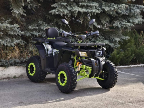 Квадроцикл R - MOTO (Р - Мото) Lion 200 X черный (машинокомплект) фото 6