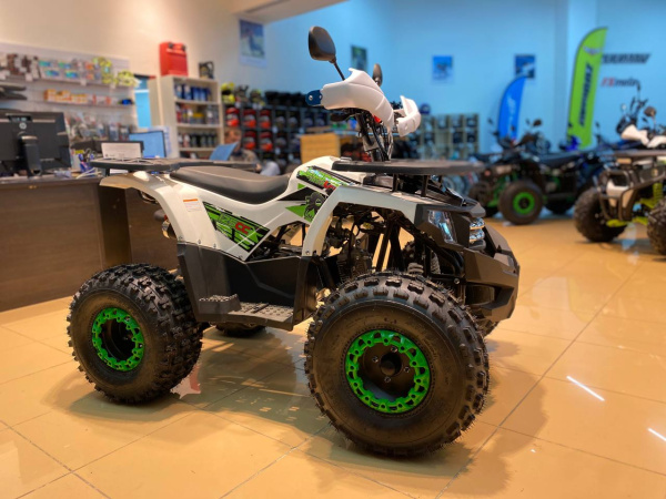 Квадроцикл детский R - MOTO (Р - Мото) Lion 125 AR lite белый (машинокомплект) | Мототека