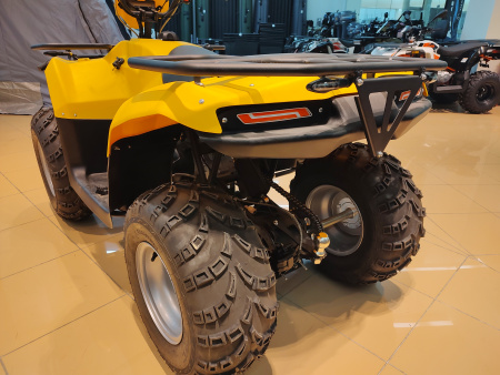 Квадроцикл IRBIS (Ирбис) ATV 200 LUX 2024 желтый с ПСМ - купить с доставкой, цены в интернет-магазине Мототека