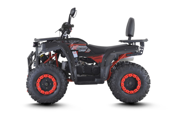 Квадроцикл FXMOTO (ФХМото) WASP 200 LUX чёрный (машинокомплект) | Мототека