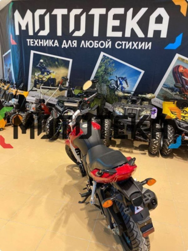 Мотоцикл дорожный Racer (Рейсер) RC250CK NITRO красный с ПТС фото 8