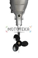 Лодочный мотор Seanovo (Сеаново) SNEF 9.9 (20) HES