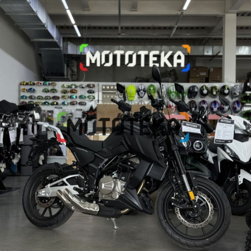 Мотоцикл дорожный Regulmoto (Регулмото) ALIEN MONSTER 300 чёрный с ПТС фото 4 Мотоцикл дорожный Regulmoto (Регулмото) ALIEN MONSTER 300 чёрный с ПТС фото 4