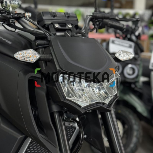 Мотоцикл дорожный Regulmoto (Регулмото) ALIEN MONSTER 300 чёрный с ПТС фото 5 Мотоцикл дорожный Regulmoto (Регулмото) ALIEN MONSTER 300 чёрный с ПТС фото 5