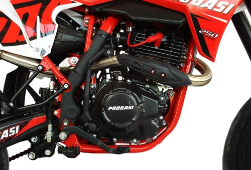 Мотоцикл кроссовый / эндуро Progasi (Прогаси) Super Max 250 SM Red с ЭПТС фото 8 Мотоцикл кроссовый / эндуро Progasi (Прогаси) Super Max 250 SM Red с ЭПТС фото 8
