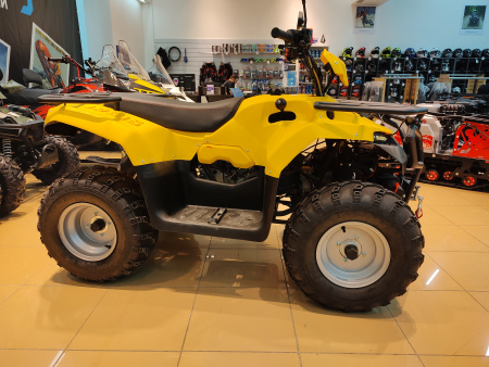 Квадроцикл IRBIS (Ирбис) ATV 200 LUX 2024 желтый с ПСМ - купить с доставкой, цены в интернет-магазине Мототека