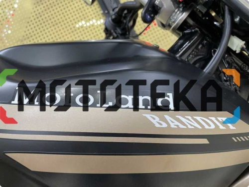 Мотоцикл дорожный MotoLand (Мотолэнд) BANDIT 250 Коричневый с ПТС фото 12