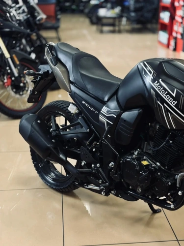Мотоцикл дорожный MotoLand (Мотолэнд) BANDIT 300 коричневый с ПТС фото 10