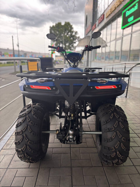 Квадроцикл IRBIS (Ирбис) ATV 200 Premium 2024 синий с ПСМ | Мототека