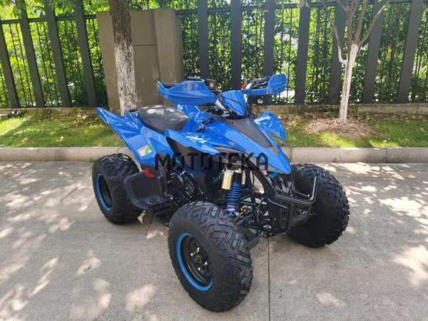 Квадроцикл Мотомир ATV SPORTY 250 синий (машинокомплект) | Мототека