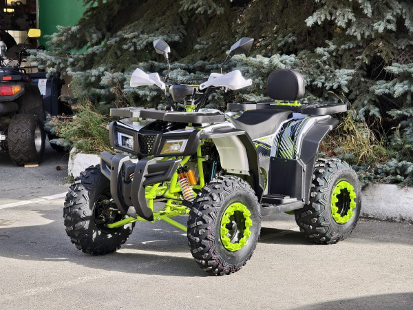 Квадроцикл R - MOTO (Р - Мото) Lion 200Х белый (машинокомплект) | Мототека