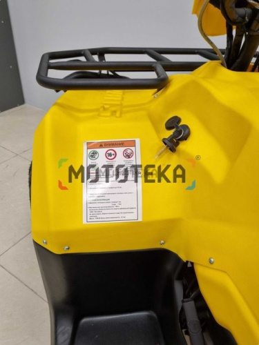 Квадроцикл IRBIS (Ирбис) ATV 200 LUX 2024 желтый с ПСМ фото 13 Квадроцикл IRBIS (Ирбис) ATV 200 LUX 2024 желтый с ПСМ фото 13