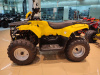 Квадроцикл IRBIS (Ирбис) ATV 200 LUX 2024 желтый с ПСМ - купить с доставкой, цены в интернет-магазине Мототека
