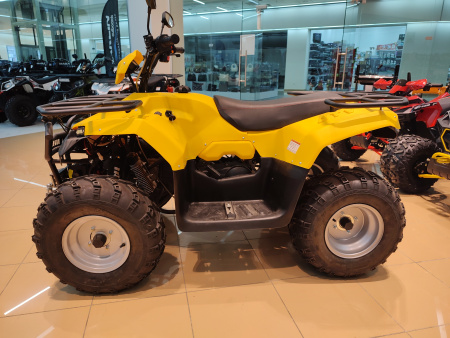 Квадроцикл IRBIS (Ирбис) ATV 200 LUX 2024 желтый с ПСМ - купить с доставкой, цены в интернет-магазине Мототека