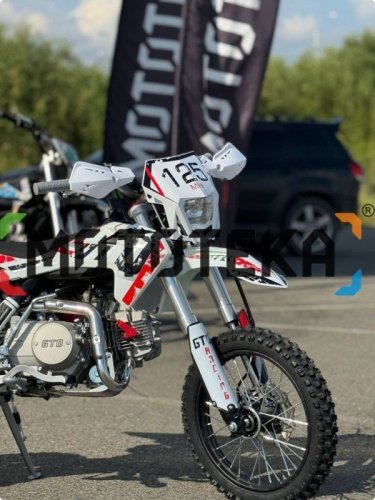 Питбайк GTO Mini 125 14/12 фото 4