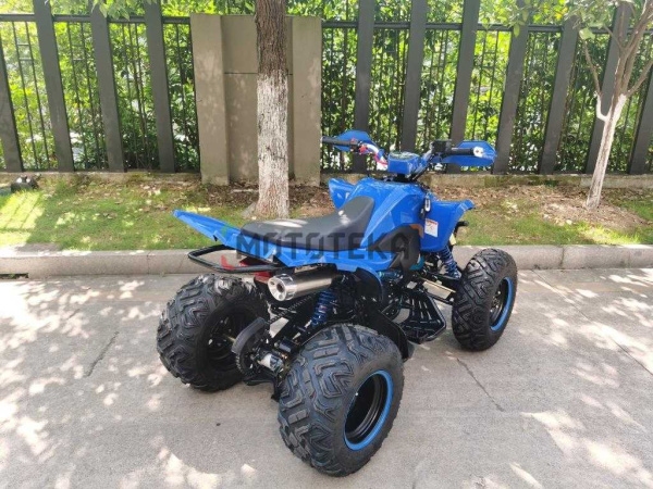 Квадроцикл Мотомир ATV SPORTY 250 синий (машинокомплект) | Мототека