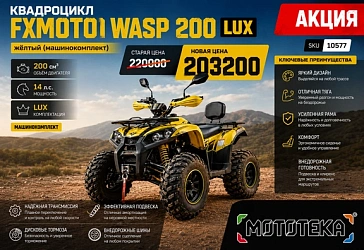 СКИДКА НА FXMOTO WASP 200 LUX!