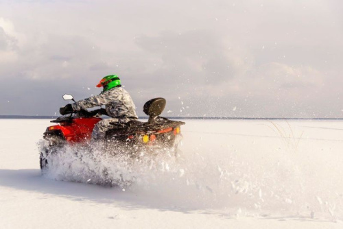 Квадроцикл RM 800 (машинокомплект) фото 21 Квадроцикл RM 800 (машинокомплект) фото 21