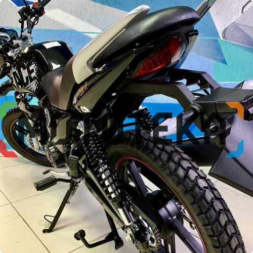 Мотоцикл кроссовый / эндуро Regulmoto (Регулмото) SK 200 - 9 чёрный с ПТС фото 5