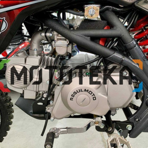 Питбайк Regulmoto (Регулмото) SEVEN MEDALIST PRO 49cc (150) 19/16 чёрный/красный фото 23