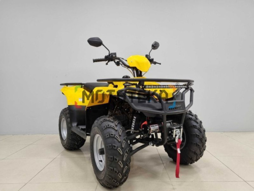 Квадроцикл IRBIS (Ирбис) ATV 200 LUX 2024 желтый с ПСМ фото 9 Квадроцикл IRBIS (Ирбис) ATV 200 LUX 2024 желтый с ПСМ фото 9