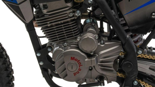 Мотоцикл кроссовый / эндуро MotoLand (Мотолэнд) XT 250 HS (172FMM-4V) (4-х клапанный) зеленый фото 3