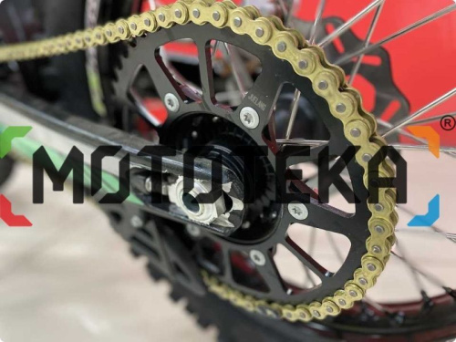 Мотоцикл кроссовый / эндуро FXMOTO (ФХМото) X7 CBS 300 фото 9