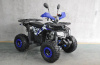 Квадроцикл детский Avantis (Авантис) ATV - 125F (машинокомплект) - купить с доставкой, цены в интернет-магазине Мототека