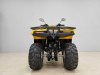 Квадроцикл IRBIS (Ирбис) ATV 200 LUX 2024 желтый с ПСМ - купить с доставкой, цены в интернет-магазине Мототека