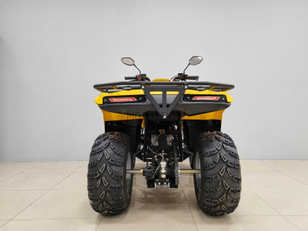 Квадроцикл IRBIS (Ирбис) ATV 200 LUX 2024 желтый с ПСМ - купить с доставкой, цены в интернет-магазине Мототека