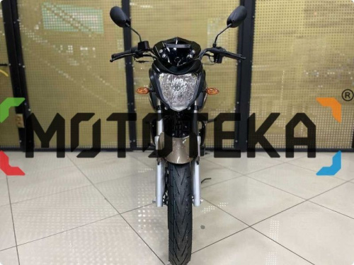 Мотоцикл дорожный MotoLand (Мотолэнд) BANDIT 250 Коричневый с ПТС фото 6