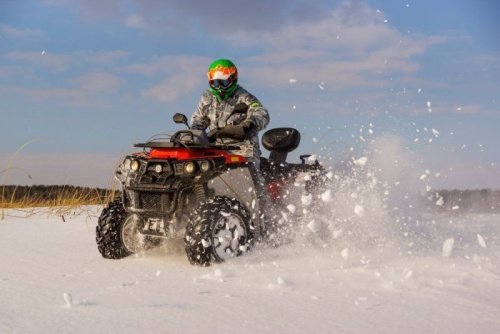 Квадроцикл RM 800 (машинокомплект) фото 22 Квадроцикл RM 800 (машинокомплект) фото 22