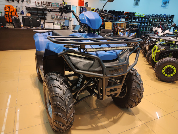 Квадроцикл IRBIS (Ирбис) ATV 250 2024 синий с ПСМ | Мототека