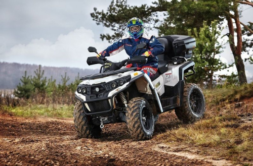 Квадроцикл RM 800 (машинокомплект) фото 4 Квадроцикл RM 800 (машинокомплект) фото 4