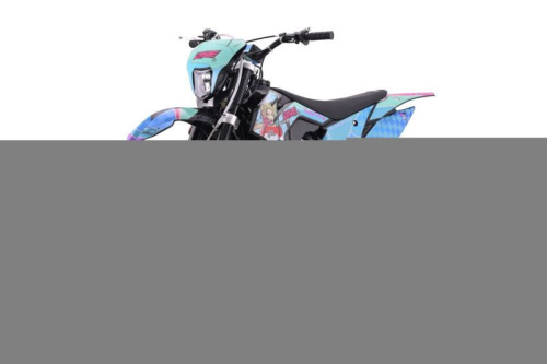 Мотоцикл кроссовый / эндуро BSE (БСЕ) Z1 QUINN фото 2 Мотоцикл кроссовый / эндуро BSE (БСЕ) Z1 QUINN фото 2