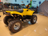 Квадроцикл IRBIS (Ирбис) ATV 200 LUX 2024 желтый с ПСМ - купить с доставкой, цены в интернет-магазине Мототека