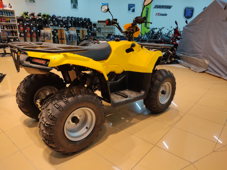 Квадроцикл IRBIS (Ирбис) ATV 200 LUX 2024 желтый с ПСМ - купить с доставкой, цены в интернет-магазине Мототека
