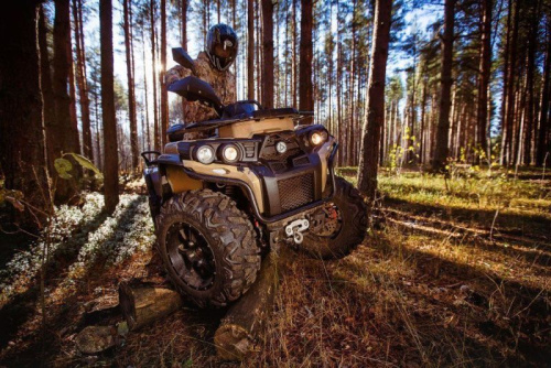 Квадроцикл RM 800 (машинокомплект) фото 5 Квадроцикл RM 800 (машинокомплект) фото 5