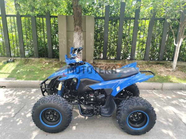 Квадроцикл Мотомир ATV SPORTY 250 синий (машинокомплект) | Мототека