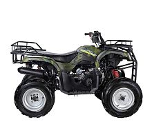 Квадроцикл подростковый WELS (Велс) ATV Purga 170 (машинокомплект)