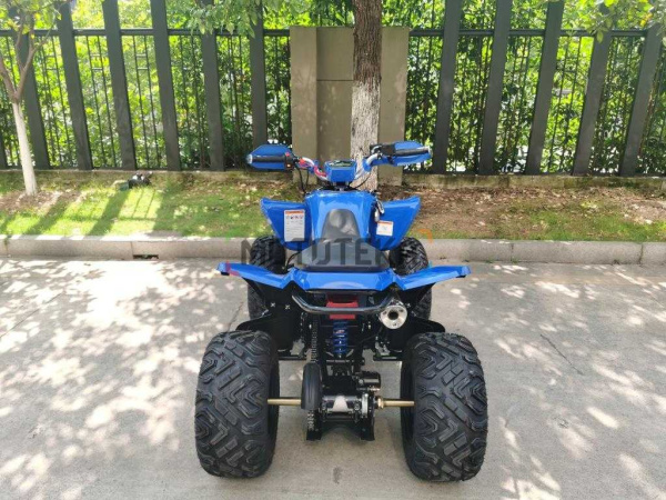 Квадроцикл Мотомир ATV SPORTY 250 синий (машинокомплект) | Мототека