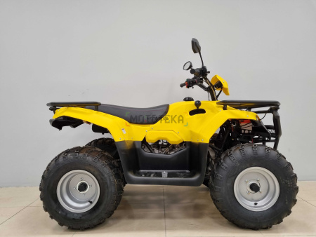 Квадроцикл IRBIS (Ирбис) ATV 200 LUX 2024 желтый с ПСМ - купить с доставкой, цены в интернет-магазине Мототека