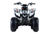 Квадроцикл детский KAYO (Кайо) Viper 125 (машинокомплект) - купить с доставкой, цены в интернет-магазине Мототека