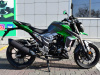 Мотоцикл дорожный Regulmoto (Регулмото) T - Leopard 300 зелёный с ПТС - купить с доставкой, по выгодной цене в интернет-магазине Мототека