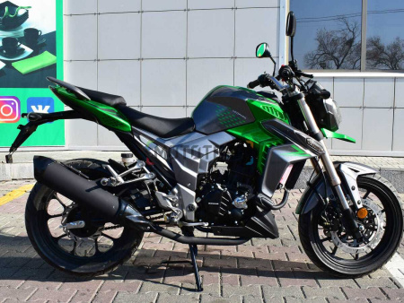 Мотоцикл дорожный Regulmoto (Регулмото) T - Leopard 300 зелёный с ПТС - купить с доставкой, по выгодной цене в интернет-магазине Мототека
